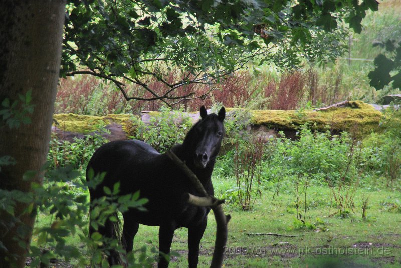 Übung Rixdorf 05.09.2009 179.jpg - @S.Boesger 2009